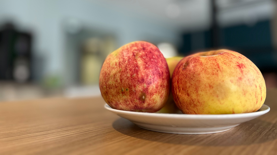 äpple på campus dalsland