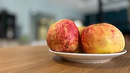 äpple på campus dalsland